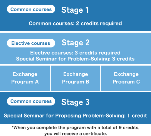 Diagram of the exchange program
